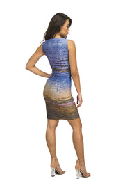 LUNA DRESS - CHIPPED PAINT